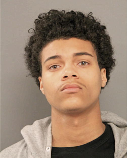 WILLIE E ADAMS, Cook County, Illinois