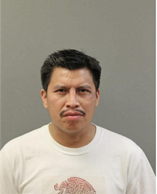 DELFINO GODINEZ ALONZO, Cook County, Illinois
