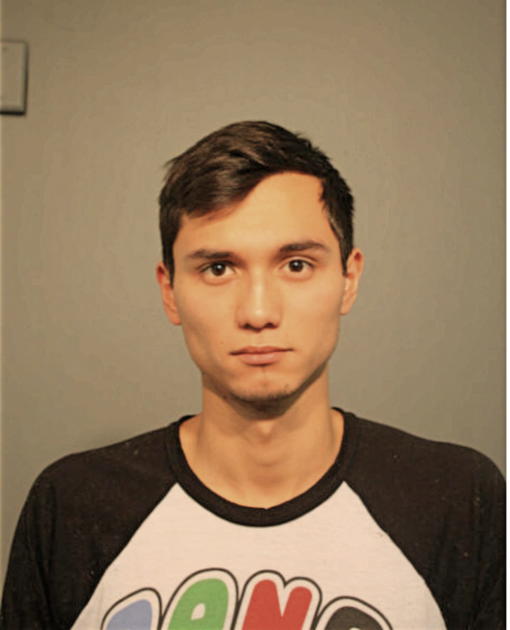 ISRAEL ARAUJO, Cook County, Illinois