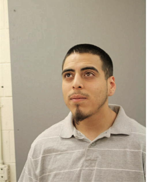 ALEJANDRO AVILA, Cook County, Illinois
