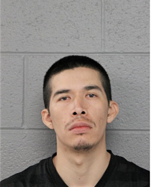CAMILO BAHENA, Cook County, Illinois
