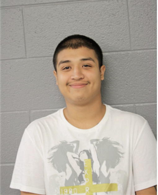IVAN BOLIVAR, Cook County, Illinois