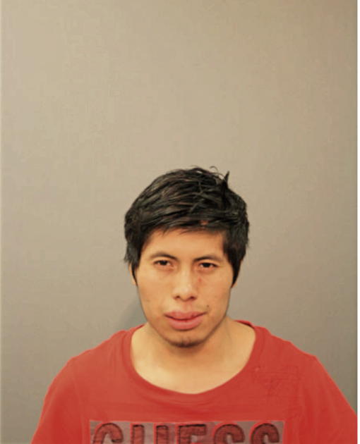 VINICIO G CAX, Cook County, Illinois