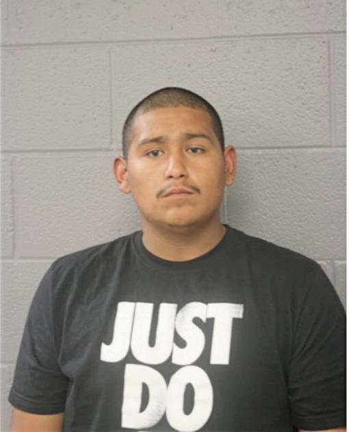 LUIS A CULCAY, Cook County, Illinois