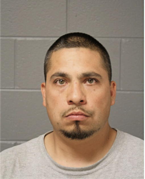 CESAR E FLORES, Cook County, Illinois