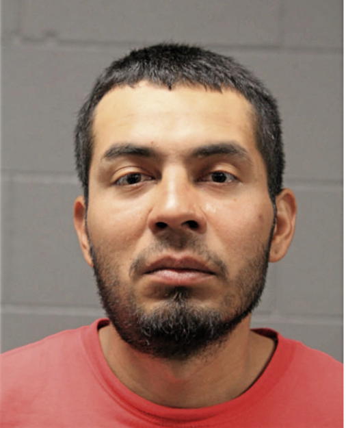 ROBERTO GARCIA, Cook County, Illinois
