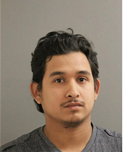 SILVESTRE GARCIA, Cook County, Illinois