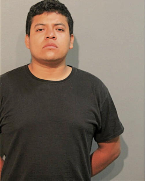 LUIS A JIMENEZ, Cook County, Illinois
