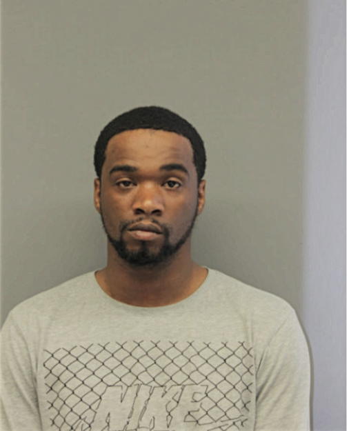 KERRY L JOHNSON, Cook County, Illinois