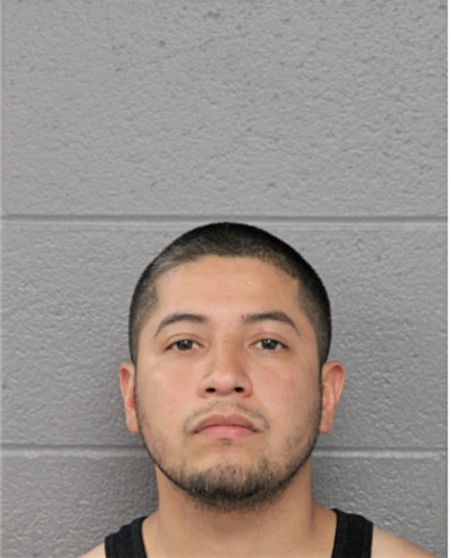 FERNANDO LARA, Cook County, Illinois