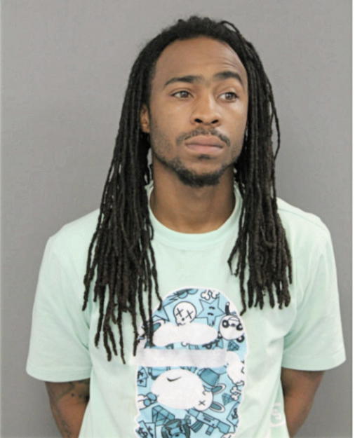 CORYONN M LEVERSTON, Cook County, Illinois