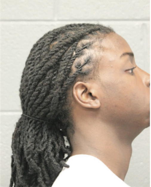 DAVANTAE A MCGHEE, Cook County, Illinois