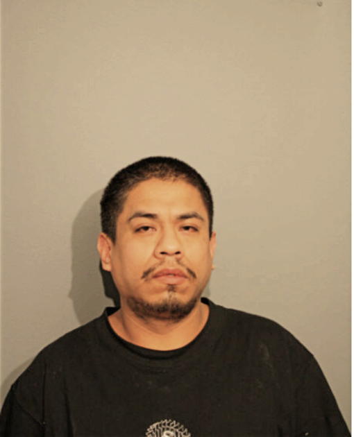 MAURO OCHOA, Cook County, Illinois