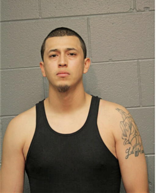 DANIEL J RAMIREZ, Cook County, Illinois