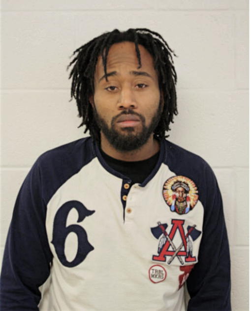 DAVID J RICE, Cook County, Illinois