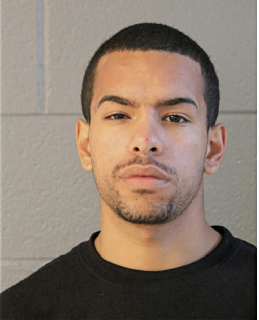 HAROLD S RODRIGUEZ, Cook County, Illinois