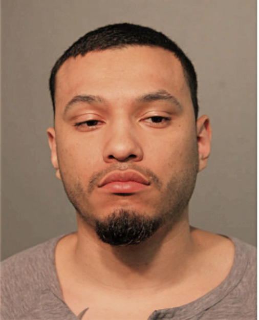 ANDREW SANCHEZ, Cook County, Illinois