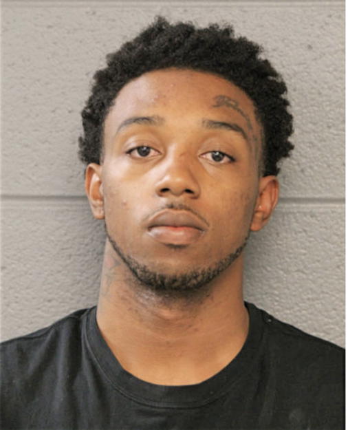 KEVIN S TERRY, Cook County, Illinois
