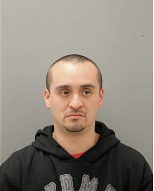 DAVID A VILLASENOR, Cook County, Illinois