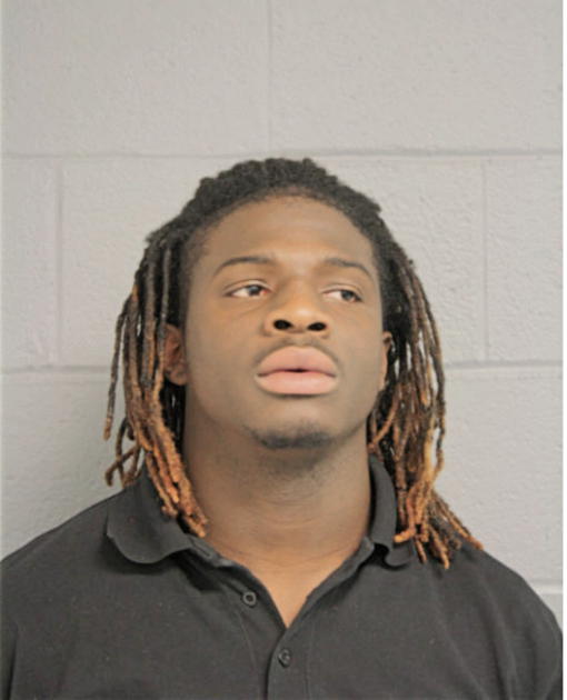 CHARLES E WILLIAMS, Cook County, Illinois