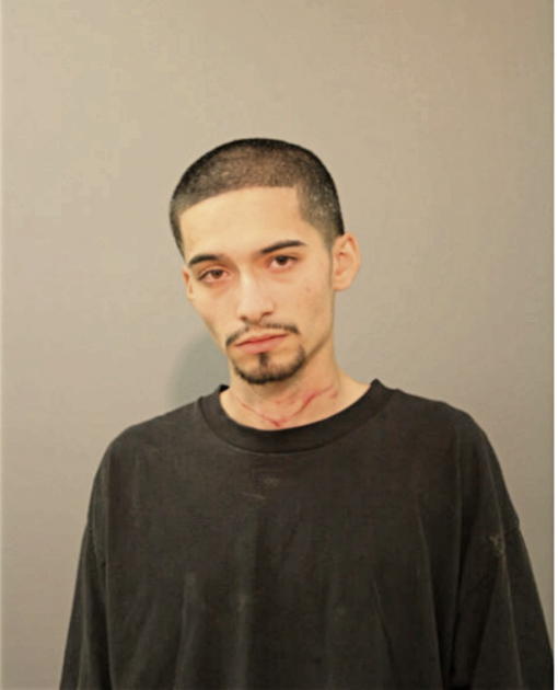 MARCOS ALARCON, Cook County, Illinois
