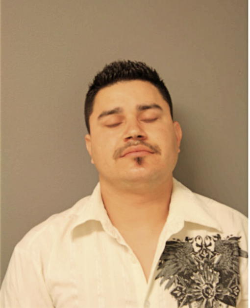 RICARDO A ALVARADO, Cook County, Illinois