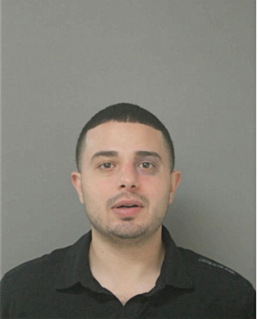 AYSA M AMARIN, Cook County, Illinois