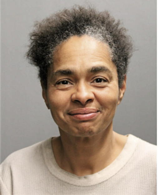 ERNESTINE ANTHONY, Cook County, Illinois
