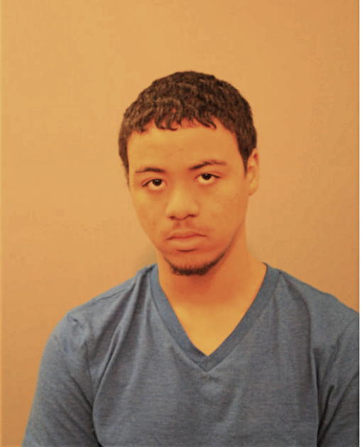 DORIAN E ARNOLD, Cook County, Illinois