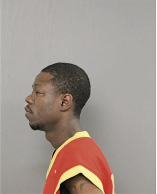 DAVID S ELLIS, Cook County, Illinois