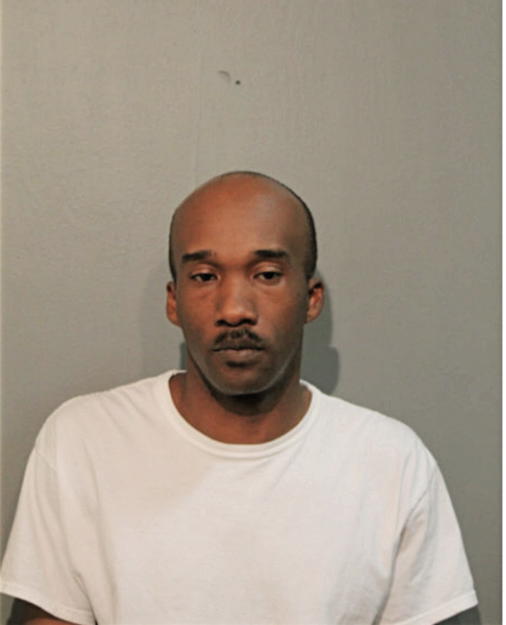 DERRICK M FERDINAND, Cook County, Illinois