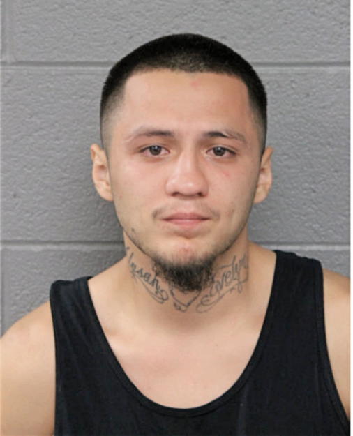 FELIX T FLORES-CARRERA, Cook County, Illinois