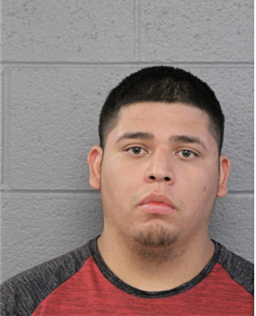 DAVID K FLORES, Cook County, Illinois