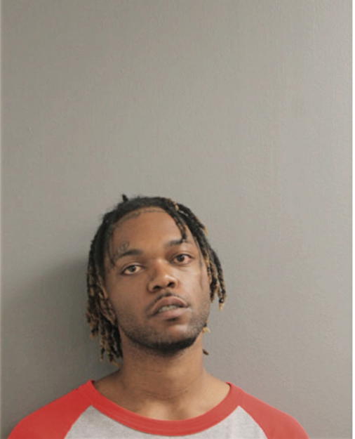 DAYVON M HICKS, Cook County, Illinois