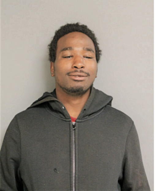 JAVANTE K HOUSTON, Cook County, Illinois