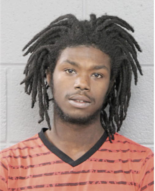 TERRY C IVORY, Cook County, Illinois