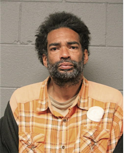 BRYAN L JOHNSON, Cook County, Illinois