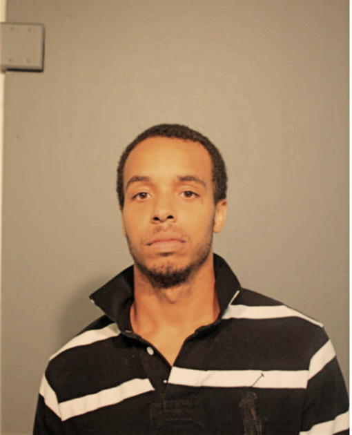 JOSHUA S JOHNSON, Cook County, Illinois