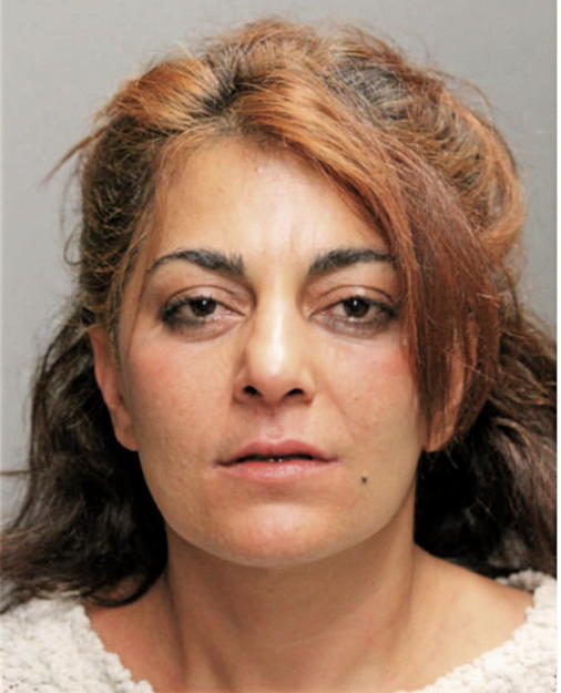 MEHSIMA MOALLEM, Cook County, Illinois