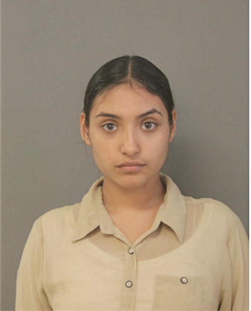 ADELISE G MORQUECHO, Cook County, Illinois
