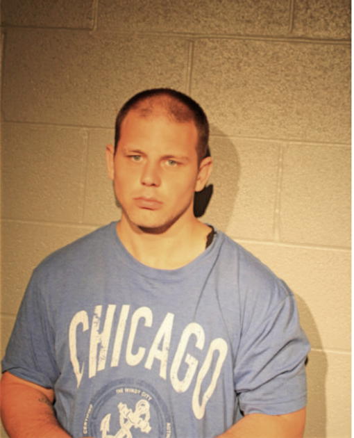 ADAM NELSON, Cook County, Illinois