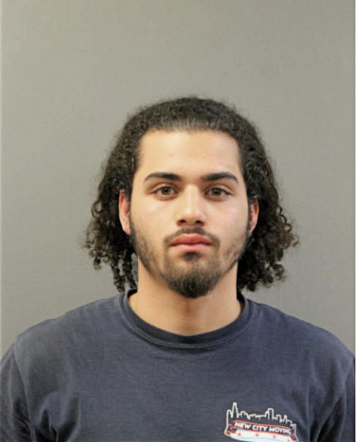 JONATHON OBED NIEVES, Cook County, Illinois