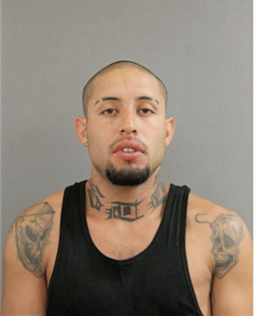 CESAR PANTOJA, Cook County, Illinois