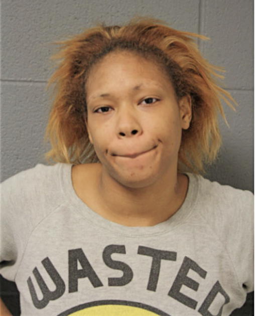 LISA L RICHARDS, Cook County, Illinois
