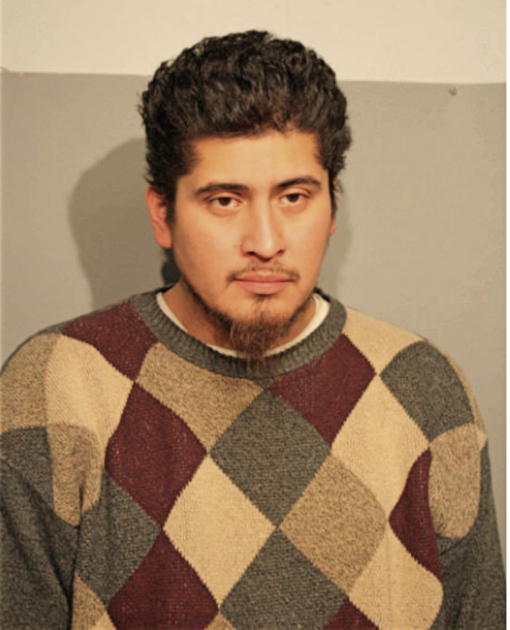 MARIO SANTOYO, Cook County, Illinois