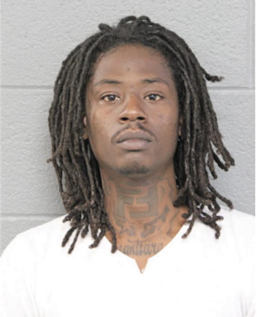 GREGORY L STEWART, Cook County, Illinois
