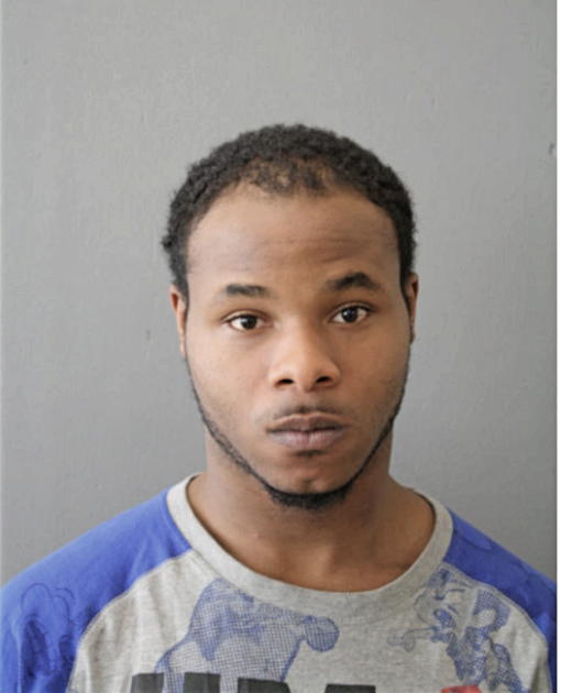 LAMAR L STEWART, Cook County, Illinois
