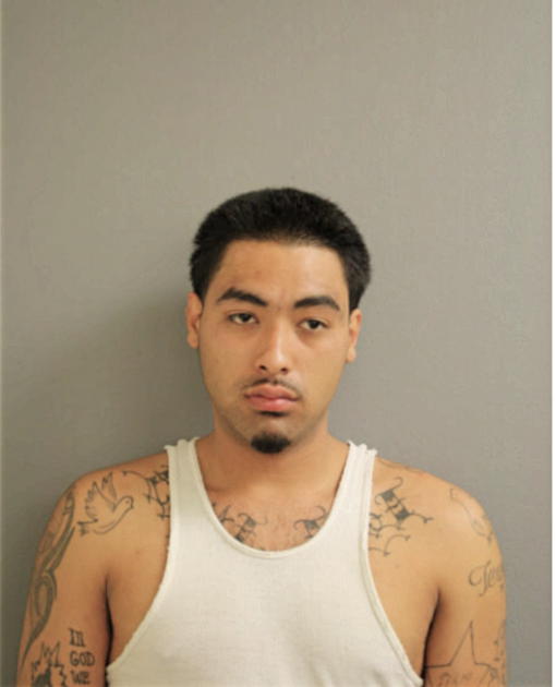 RAFAEL VILLALOBOS, Cook County, Illinois