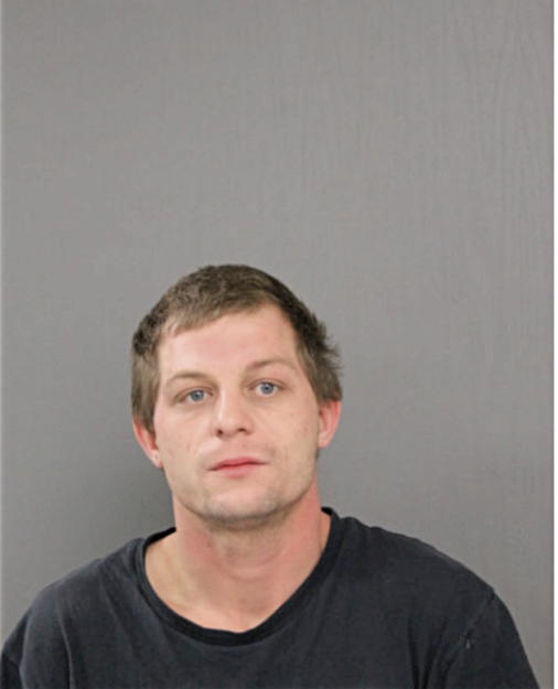 DAVID C YOUNG, Cook County, Illinois