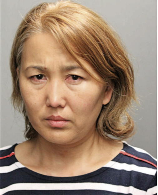 ZAMIRA ABDRAKHANOVA, Cook County, Illinois